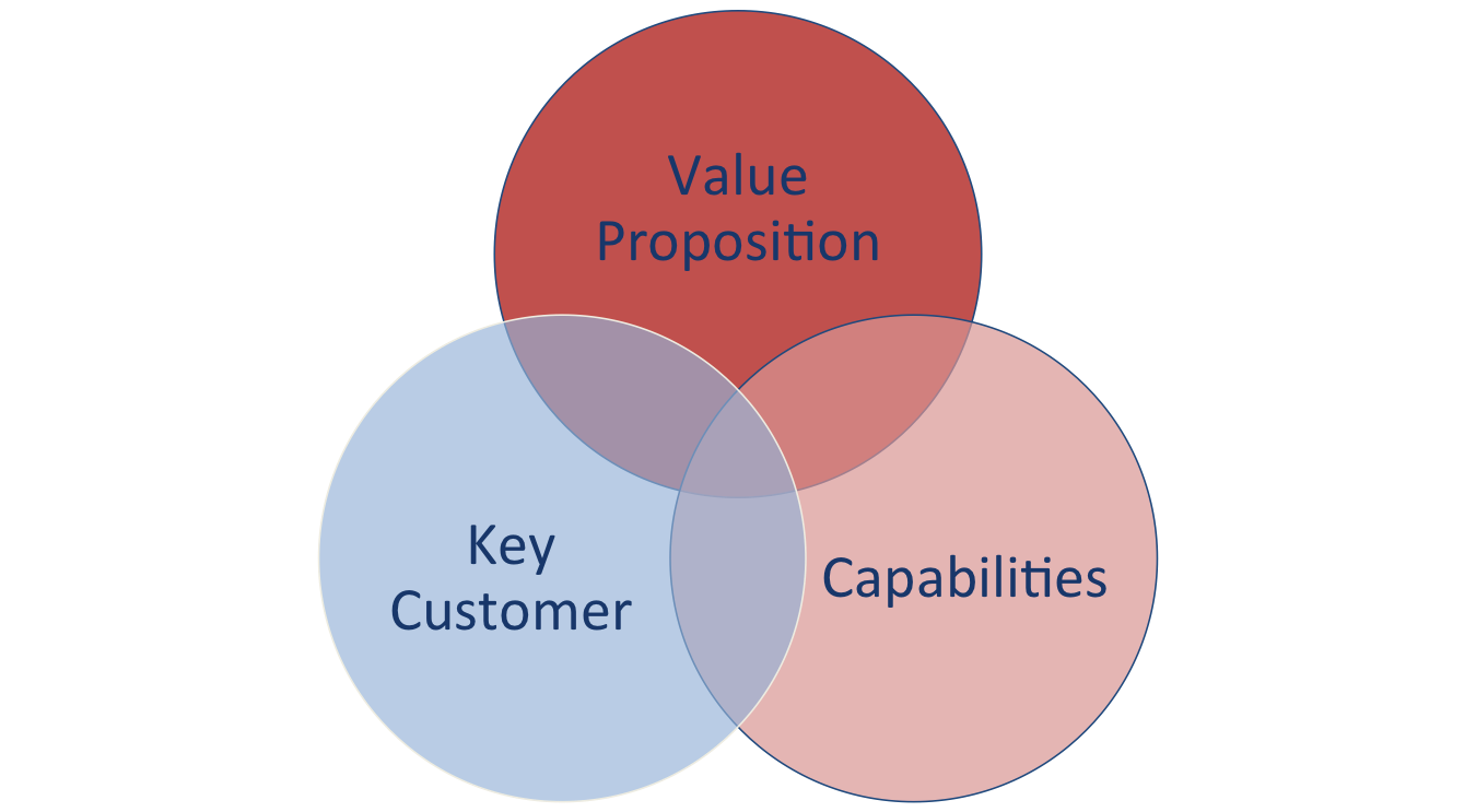 Figure 2: The Business Model