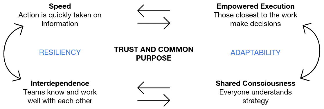 Figure 3 Adapted from Team of Teams,